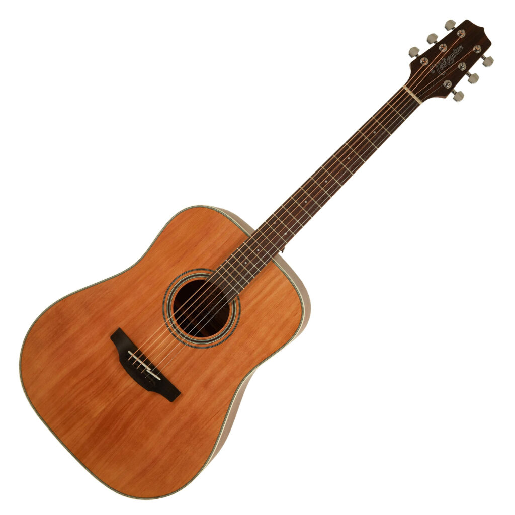 Takamine GD20 Natural Satin