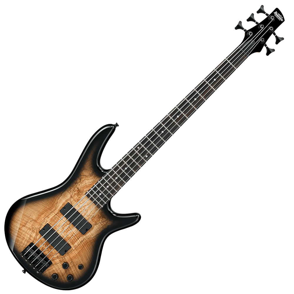 Ibanez GSR205SM Natural Gray Burst