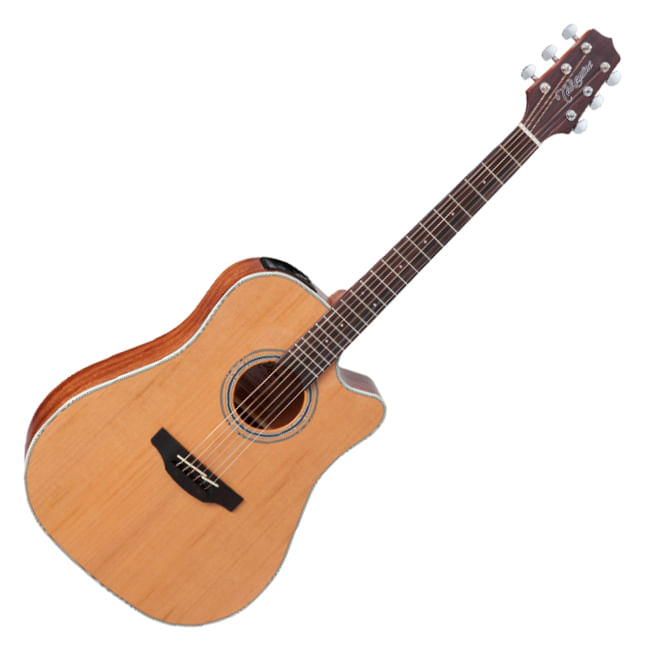 Takamine GD20CE Natural Satin